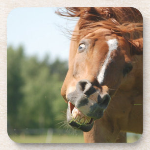 Funny Horse Face met gekrulde lips, Crazy Eye Bier Onderzetter
