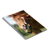 Funny Horse Face met gekrulde lips, Crazy Eye Notitieboek (Rechterzijde)