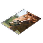 Funny Horse Face met gekrulde lips, Crazy Eye Notitieboek (Linkerzijde)