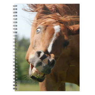 Funny Horse Face met gekrulde lips, Crazy Eye Notitieboek