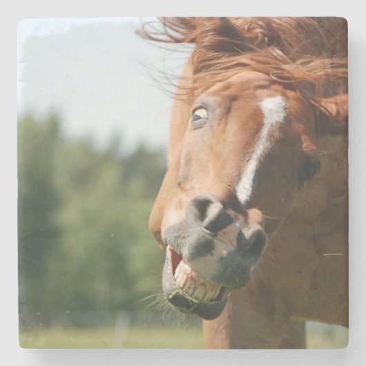 Funny Horse Face met gekrulde lips, Crazy Eye Stenen Onderzetter (Voorkant)
