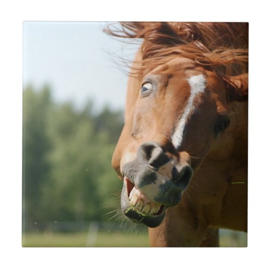 Funny Horse Face met gekrulde lips, Crazy Eye Tegeltje (Voorkant)