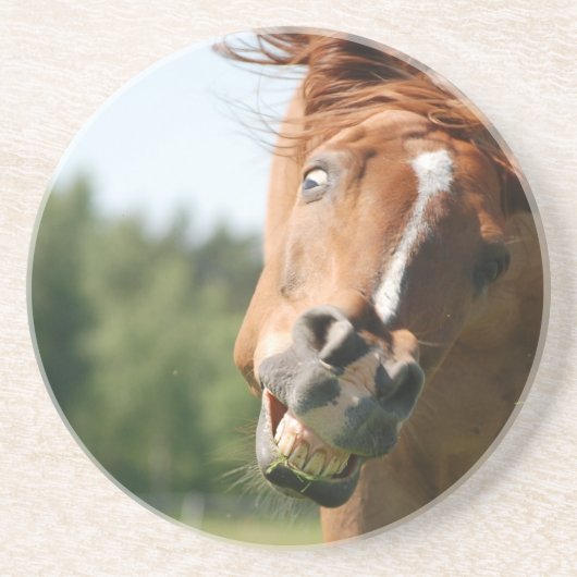 Funny Horse Face met gekrulde lips, Crazy Eye Zandsteen Onderzetter (Voorkant)