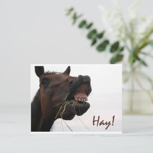 Funny Horse: Hoi! Briefkaart (Staand voorkant)