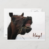 Funny Horse: Hoi! Briefkaart (Voorkant / Achterkant)