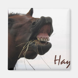 Funny Horse: Hoi! Magneet