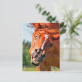Funny Horse Laughing Foto Briefkaart (Staand voorkant)