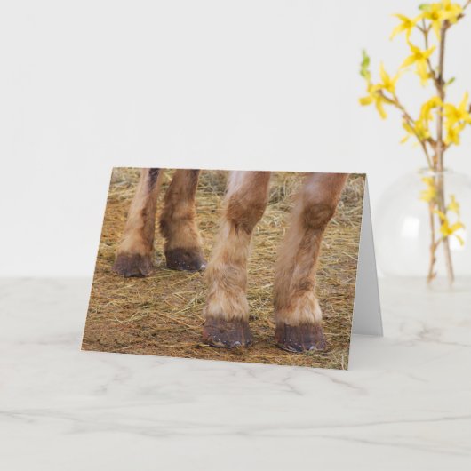 Funny Horse Legs krijgen goede Kaart (Gele Bloem)