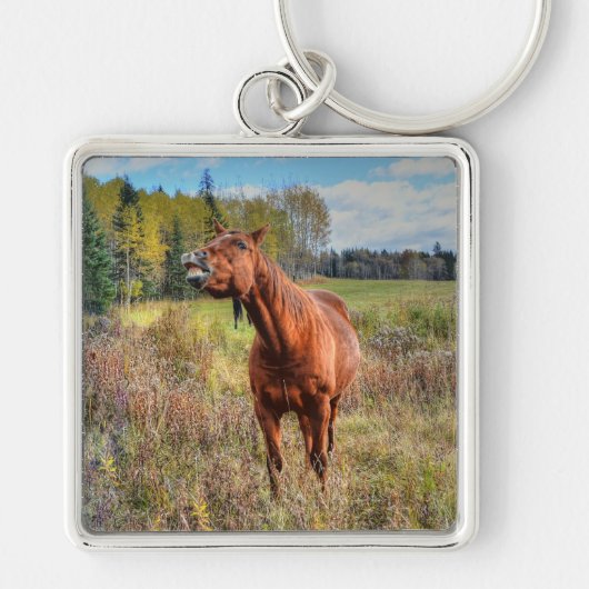 Funny Horse-lover Sorrel Mare Equine Photo Ranch Sleutelhanger (Voorkant)