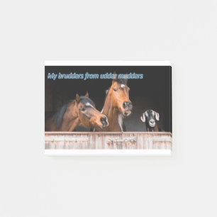Funny Horse Memes Funny Horse Afbeeldingen Gezegde Post-it® Notes