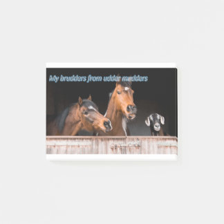 Funny Horse Memes Funny Horse Afbeeldingen Gezegde Post-it® Notes