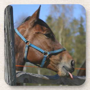 Funny Horse onderzetters