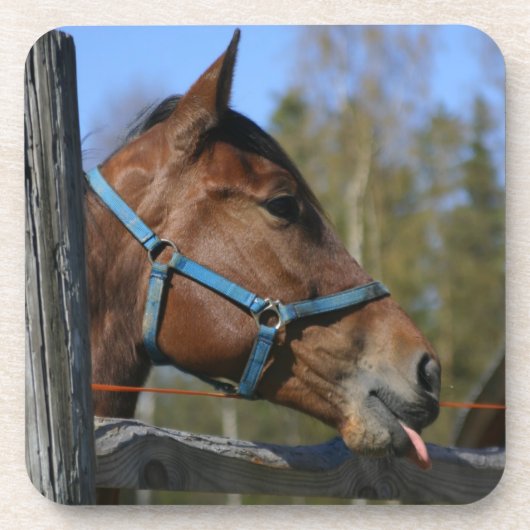Funny Horse onderzetters (Voorkant)