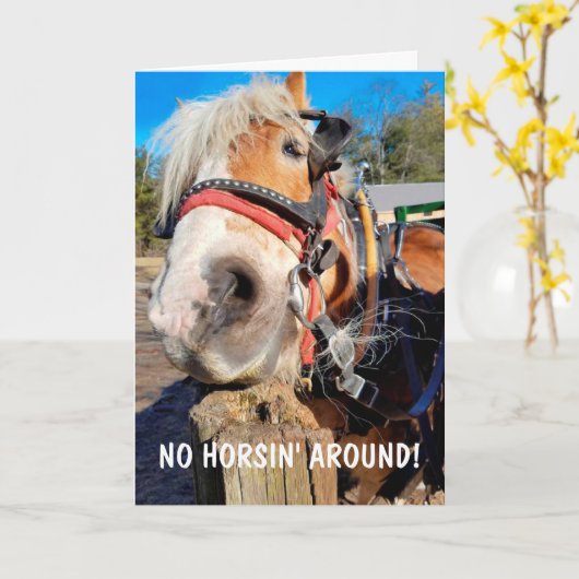 Funny Horse Pun Vaderdag Kaart (Gele Bloem)