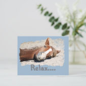 Funny Horse: Relax Briefkaart (Staand voorkant)