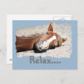 Funny Horse: Relax Briefkaart (Voorkant / Achterkant)
