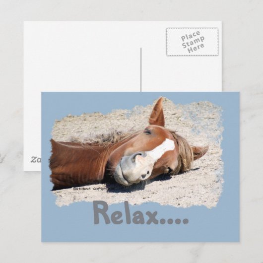 Funny Horse: Relax Briefkaart (Voorkant / Achterkant)
