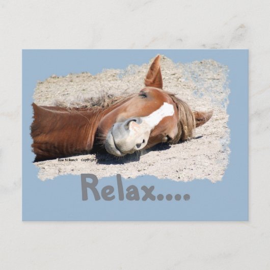Funny Horse: Relax Briefkaart (Voorkant)