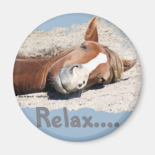 Funny Horse: Relax Magneet