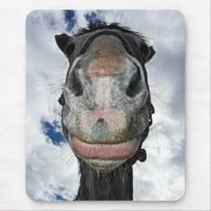 Funny Horse Smile Muismat