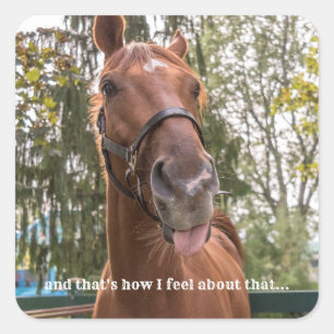 Funny Horse Sticking Out Tongue Foto Sticker