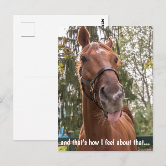 Funny Horse Stikking Out Tongue Briefkaart (Voorkant / Achterkant)