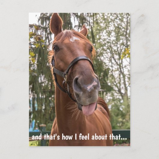 Funny Horse Stikking Out Tongue Briefkaart (Voorkant)