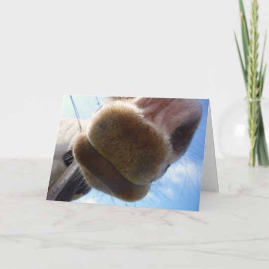 Funny Horse Wenskaart Kaart (Voorkant)