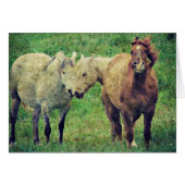 Funny Horses (Voorkant Horizontaal)