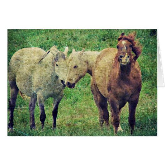 Funny Horses (Voorkant Horizontaal)