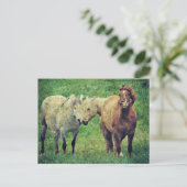 Funny Horses Briefkaart (Staand voorkant)