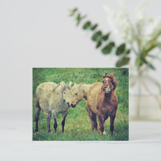Funny Horses Briefkaart (Staand voorkant)