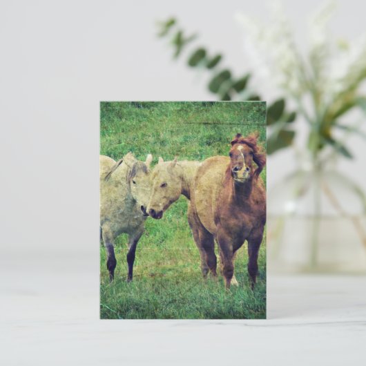 Funny Horses Briefkaart (Staand voorkant)