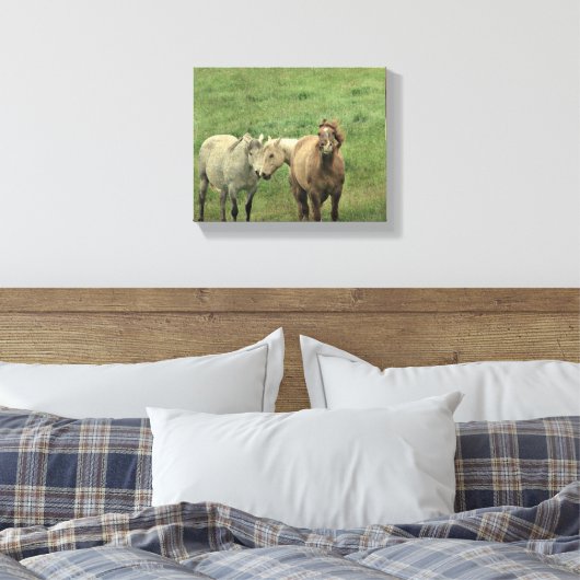 Funny Horses Canvas Afdruk (Insitu (Slaapkamer))