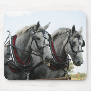 Funny Horses Muismat