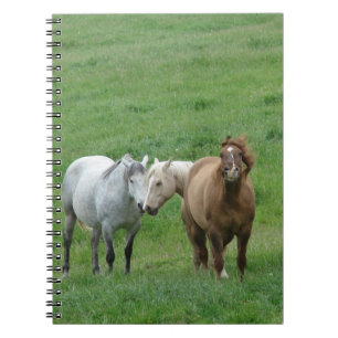 Funny Horses Notitieboek