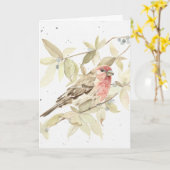 Funny - House Finch Happy Birthday Wenskaart Kaart (Gele Bloem)