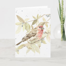 Funny - House Finch Happy Birthday Wenskaart Kaart