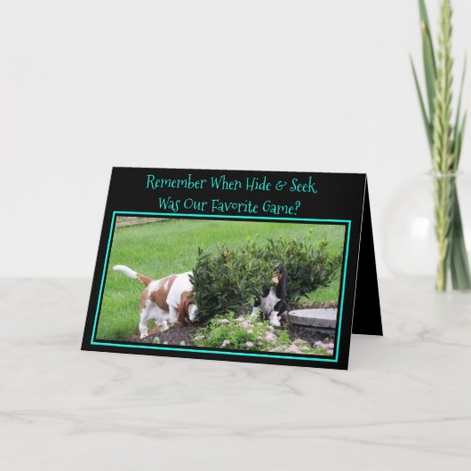 Funny "Huid & Seek" Birthday Card met Bassets Kaart (Voorkant)