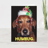 Funny HUMBUG-kerstkaart Feestdagen Kaart (Voorkant)