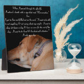 Funny Humoureuze slapende labrador Fotoplaat (Zijkant)