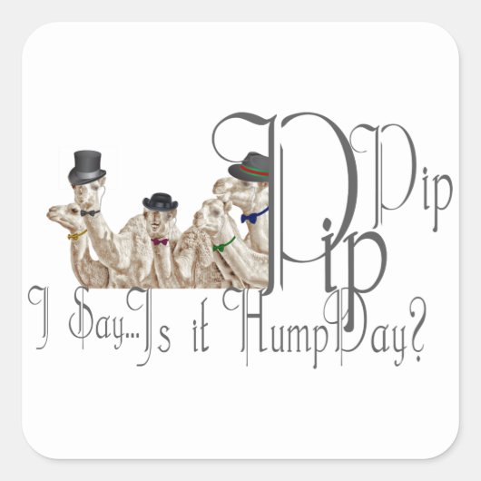 Funny Hump Day Camels in Monocles Vierkante Sticker (Voorkant)