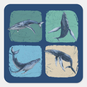 Funny Humpback Whale die kijkt Vierkante Sticker