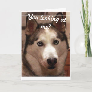 Funny Husky Birthday Card Kaart