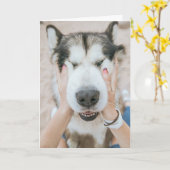 Funny Husky Dog Birthday Card Kaart (Gele Bloem)