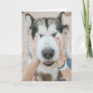 Funny Husky Dog Birthday Card Kaart