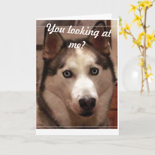 Funny Husky Verjaardag Kaart (Gele Bloem)