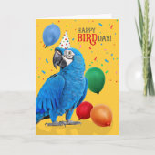 Funny Hyacinth Macaw Parrot Birthday Humor Kaart (Voorkant)