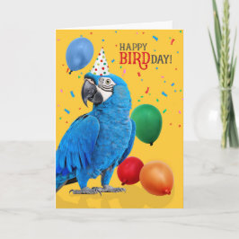 Funny Hyacinth Macaw Parrot Birthday Humor Kaart