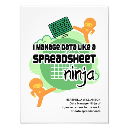 Funny I Manage Data SPREADSHEET NINJA Foto Afdruk (Voorkant)